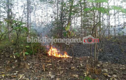 Awas...!!! 4 Kecamatan Ini Rawan Kebakaran Hutan